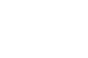 avetta.png